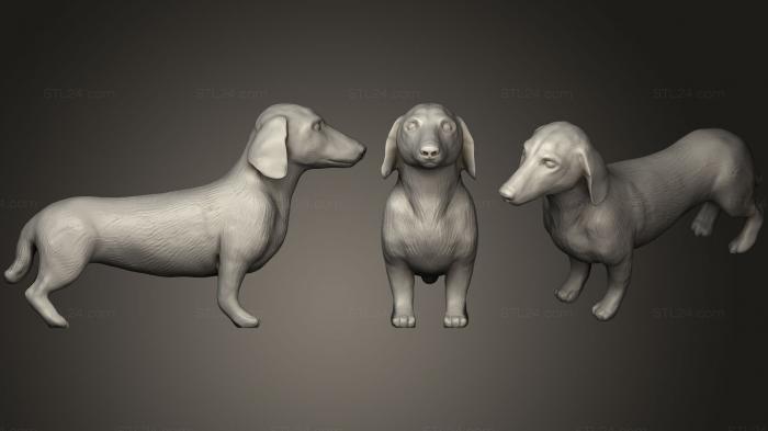 Animal figurines (Cleaned Dachshund, STKJ_0832) 3D models for cnc